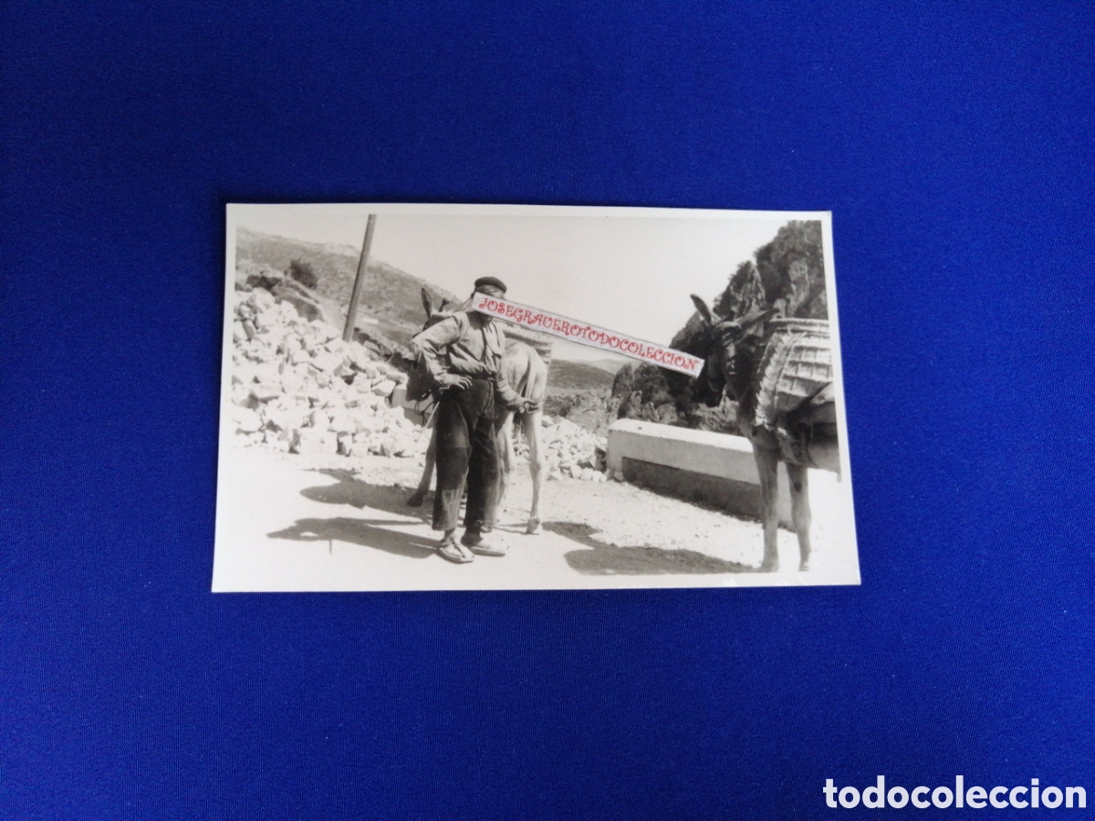 Antique Photography: AGRICULTOR MODELO CON BURROS DE TRANSPORTE FOTOGRAF&Iacute;A ANTIGUA SIGLO PASADO