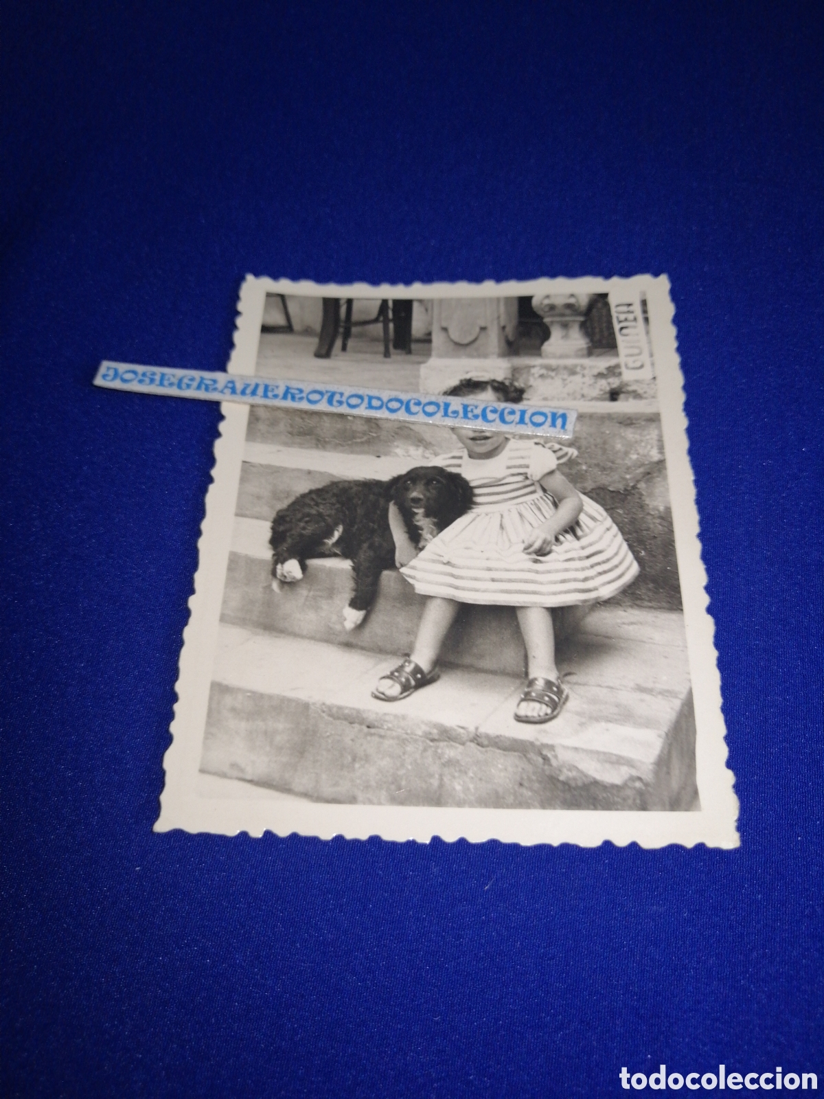 Fotografia antica: NI&Ntilde;A MODELO CON PERRITO POSANDO FOTOGRAF&Iacute;A ANTIGUA SIGLO PASADO FOTOGR&Aacute;FICO FOTO GUINEA (CASTELLON)