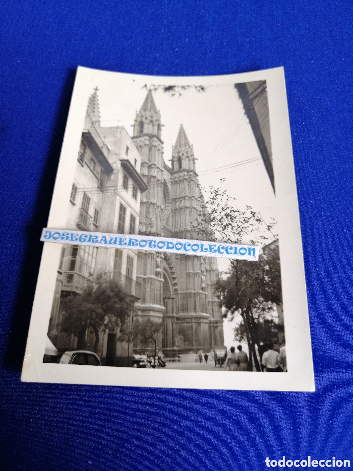 Fotografia antiga: PALMA DE MALLORCA-CATEDRAL - FOTOGRAF&Iacute;A ANTIGUA SIGLO PASADO