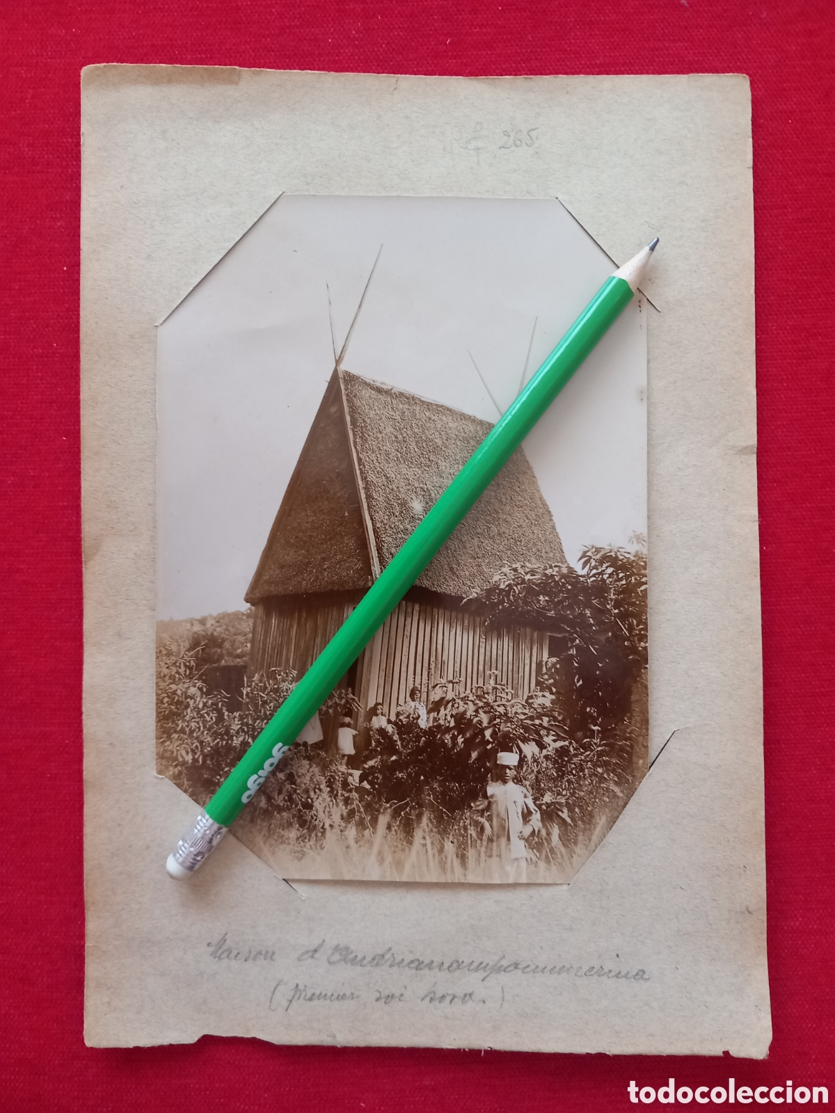 Antique Photography: 5 FOTOGRAF&Iacute;AS DE MADAGASCAR (COLONIA FRANCESA) SIGLO XIX. FOTOGRAF&Iacute;A / COLONIALISMO / AFRICA. RARO !