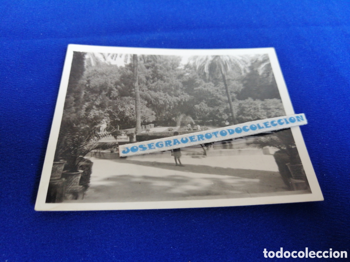 Antique Photography: SEVILLA - JARDINES MARIA LUISA A&Ntilde;O 1965 FOTOGRAF&Iacute;A ANTIGUA SIGLO PASADO