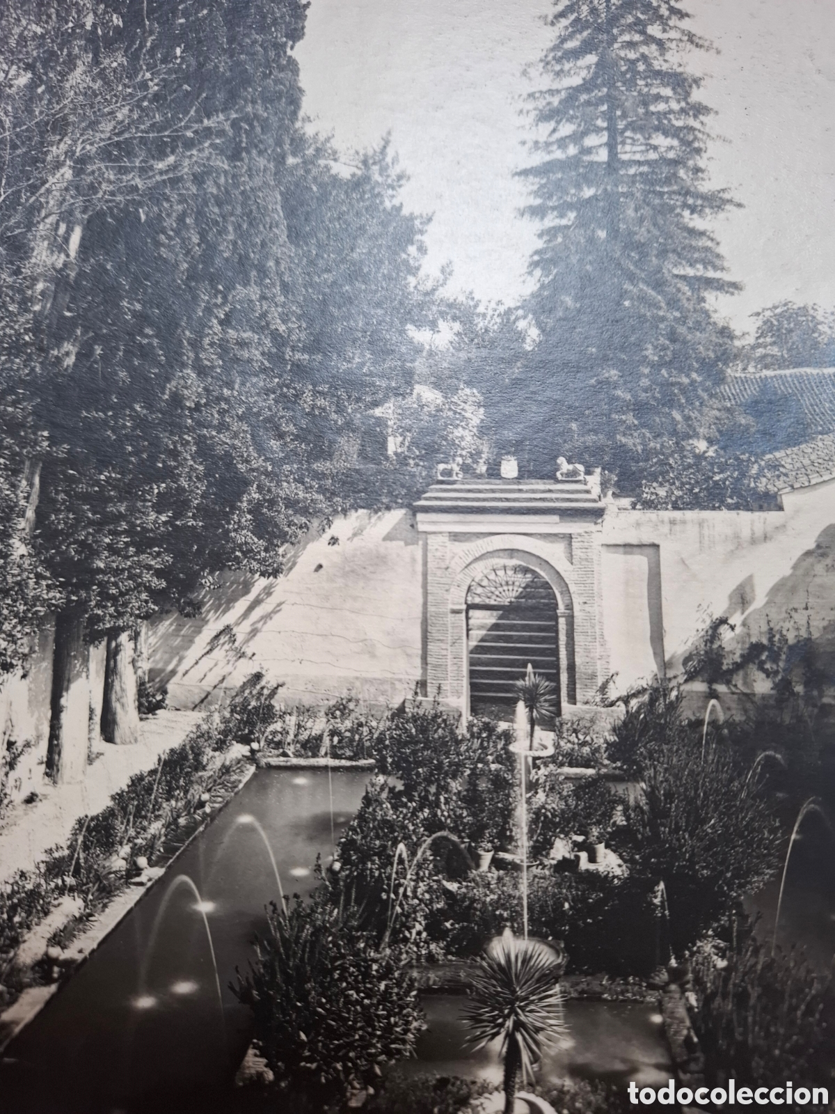 Fotografia antica: GARZON FOTOGRAFO. GRANADA N&deg;63 PATIO CIPRESES GENERALIFE