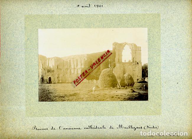 Fotografia antica: FOTO FOTOGRAFIA ALBUMINA FRANCIA RUINAS CATEDRAL CATHEDRALE DE MAILLEZAIS 1901 ORIGINAL ALF114