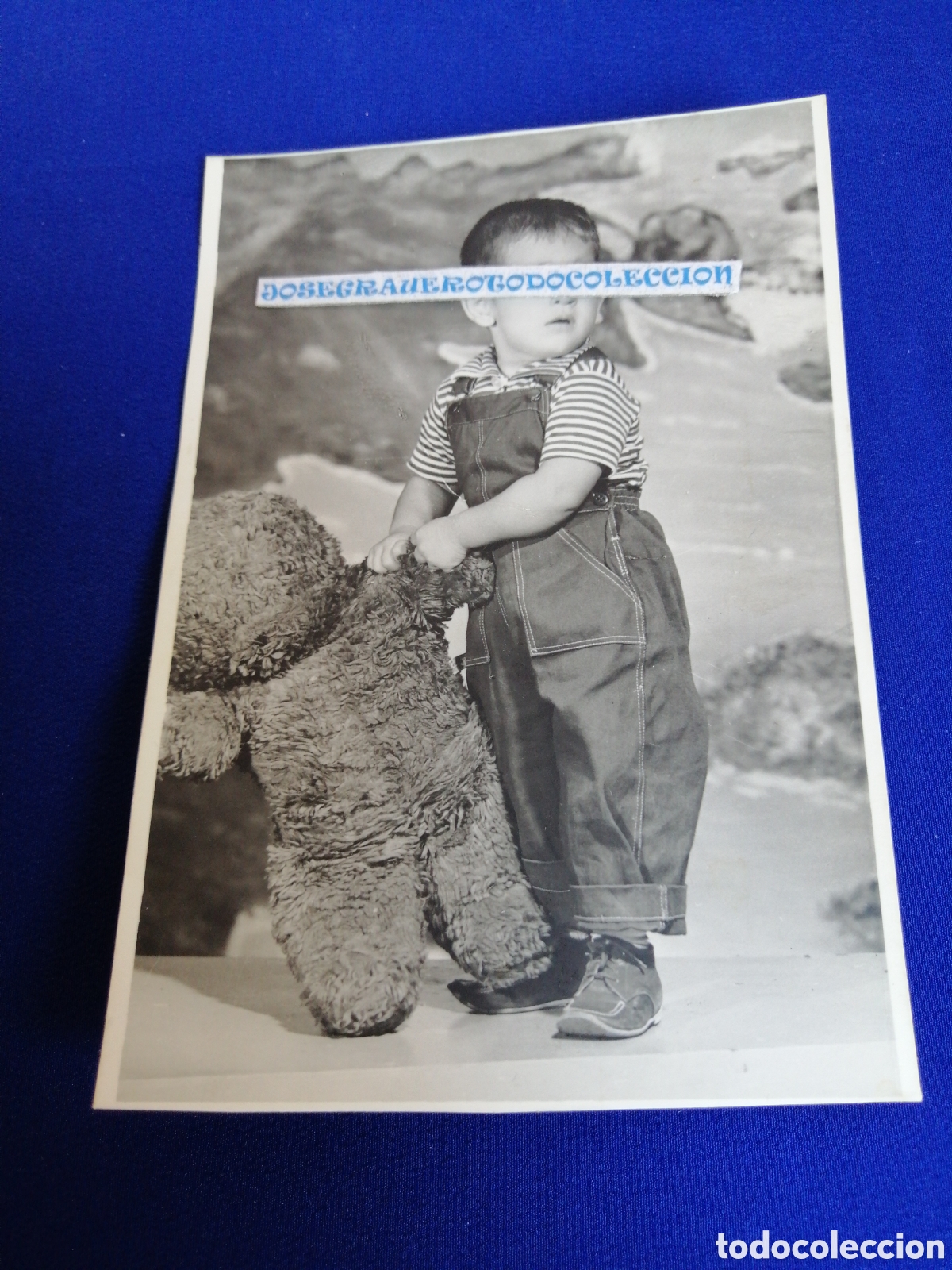 Fotografia antica: NI&Ntilde;O MODELO POSANDO CON PELUCHE OSITO A&Ntilde;O 1961
