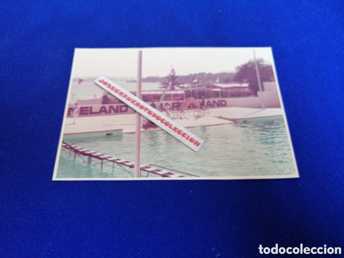 Fotografia antica: MALLORCA - MARINELAND - PARQUE ACU&Aacute;TICO A&Ntilde;O 1974 FOTOGRAF&Iacute;A ANTIGUA SIGLO PASADO