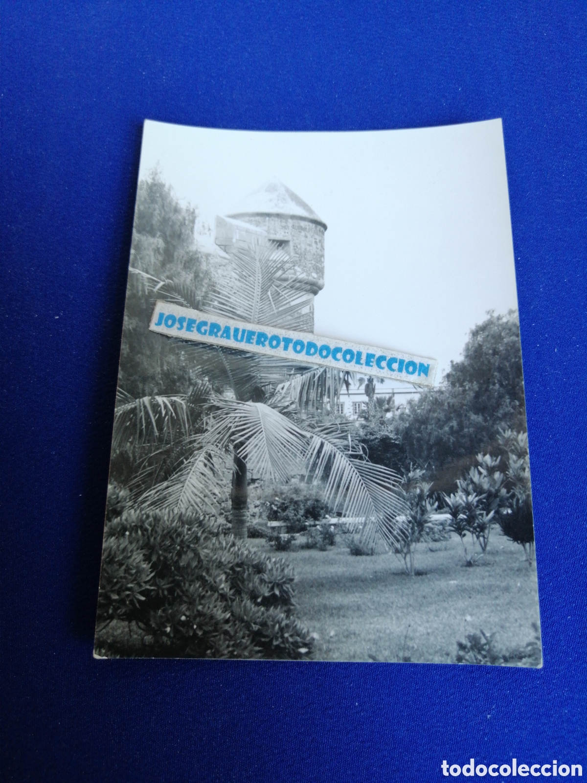 Fotografia antica: LAS PALMAS DE GRAN CANARIA - CASTILLO DE LA LUZ FOTOGRAF&Iacute;A ANTIGUA SIGLO PASADO