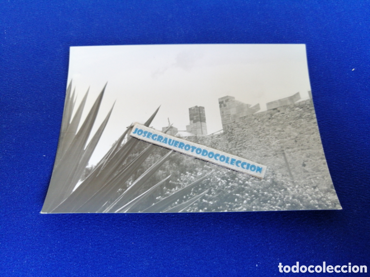 Fotografia antica: LAS PALMAS DE GRAN CANARIAS - CASTILLO DE LA LUZ FOTOGRAF&Iacute;A ANTIGUA SIGLO PASADO