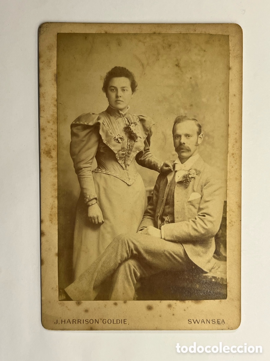 Fotografia antica: SWANSEA, Gales. Reino Unido.. Retrato familiar Gabinete HARRISON GOLDIE, &eacute;poca Victoriana