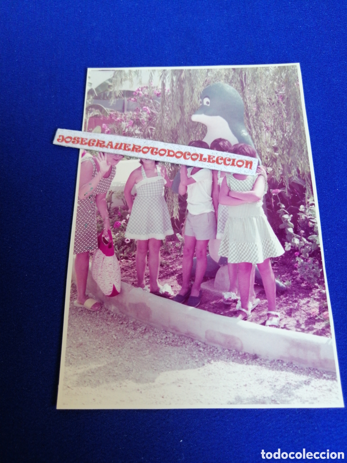 Antique Photography: MALLORCA - MARINELAND CON DELFIN DE FIGURA A&Ntilde;O 1974