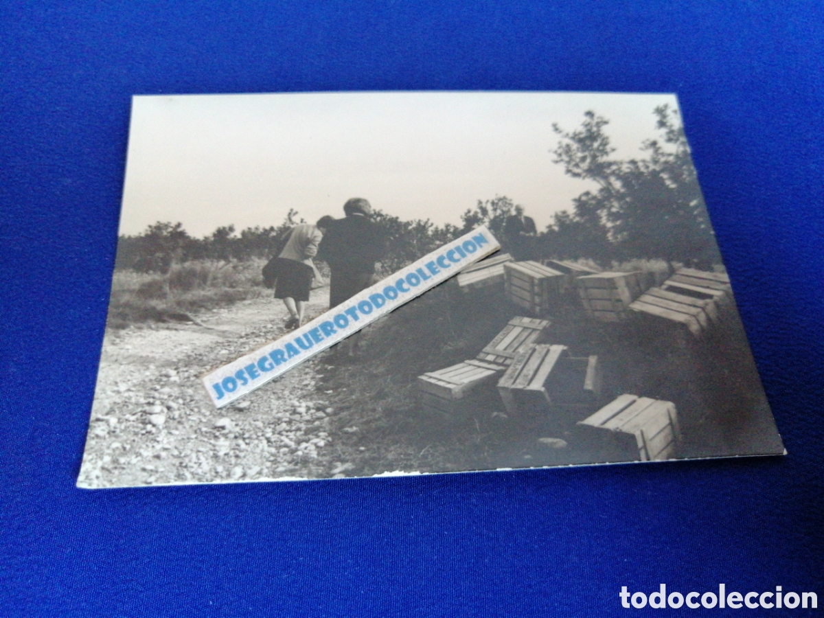 Antique Photography: VILLAMARGO (CASTELLON) A&Ntilde;O 1964 CAJONES DE FRUTA FOTOGRAF&Iacute;A ANTIGUA SIGLO PASADO