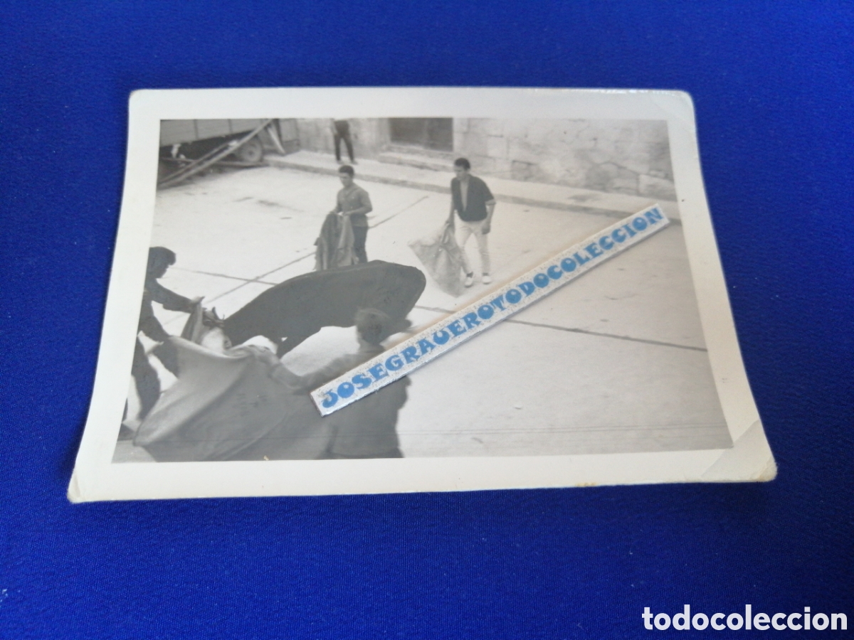 Fotograf&iacute;a antigua: TORO EN PLAZA DEL PUEBLO TOREANDO MOZOS FOTOGRAF&Iacute;A ANTIGUA SIGLO PASADO