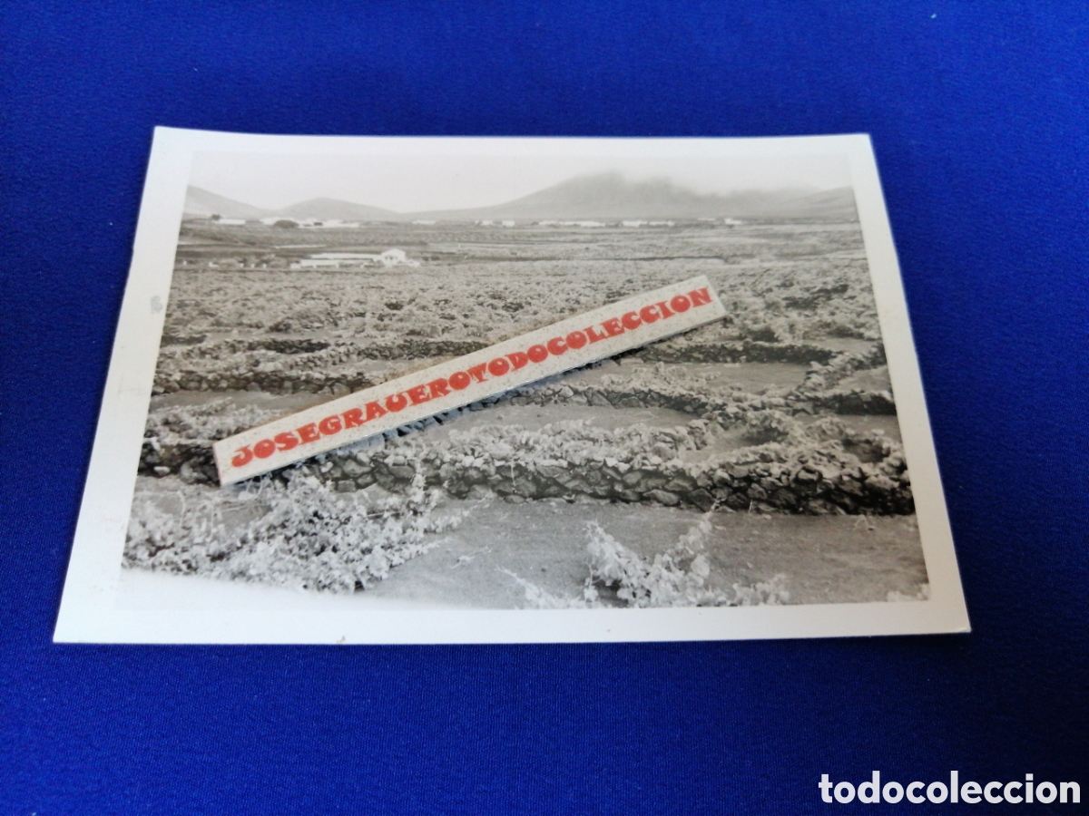 Fotografia antica: LAS PALMAS DE GRAN CANARIAS A&Ntilde;O 1969 FOTOGRAF&Iacute;A ANTIGUA SIGLO PASADO