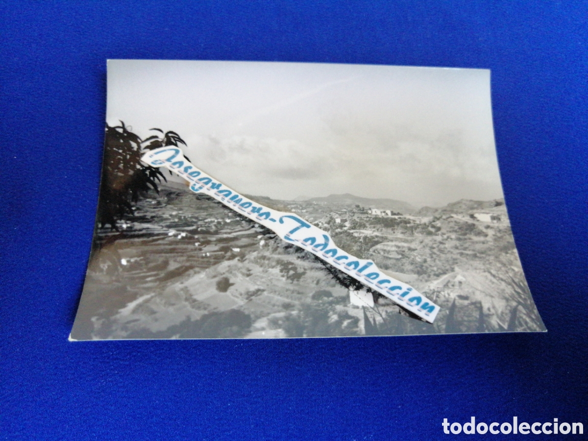 Fotografia antica: LA PALMAS DE GRAN CANARIA FOTOGRAF&Iacute;A ANTIGUA SIGLO PASADO