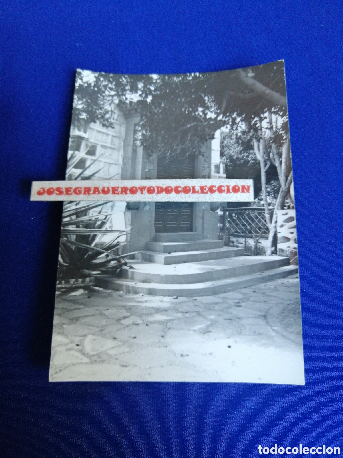 Fotografia antica: LAS PALMAS DE GRAN CANARIA - PARQUE SANTA CATALINA - FOTOGRAF&Iacute;A ANTIGUA SIGLO PASADO