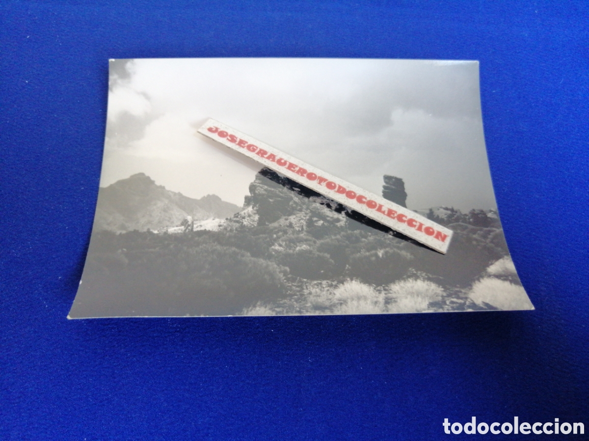 Antique Photography: TENERIFE - CA&Ntilde;ADA DEL TEIDE FOTOGRAF&Iacute;A ANTIGUA SIGLO PASADO