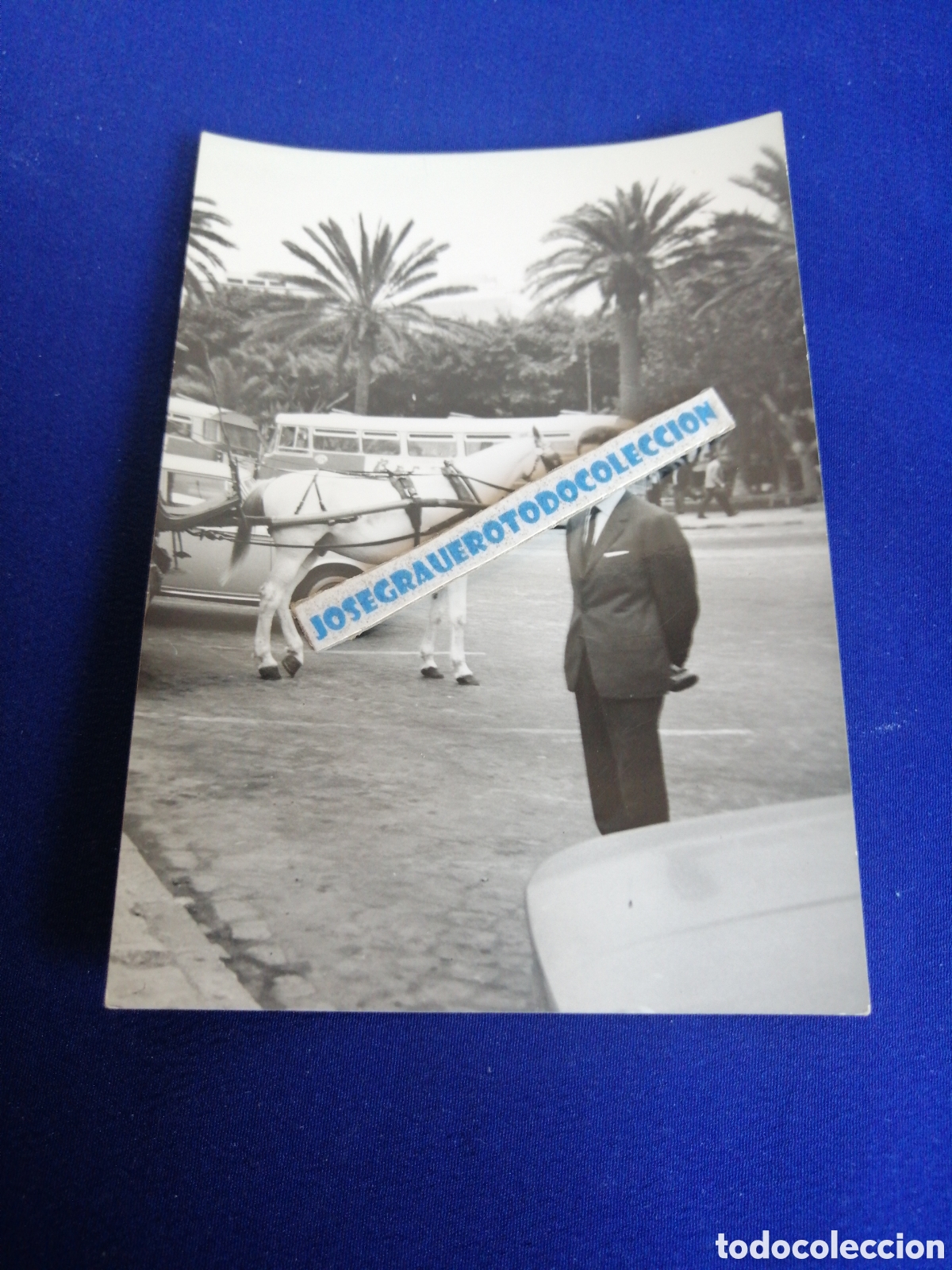 Antique Photography: LAS PALMAS DE GRAN CANARIA PARQUE SANTA CATALINA FOTOGRAF&Iacute;A ANTIGUA SIGLO PASADO