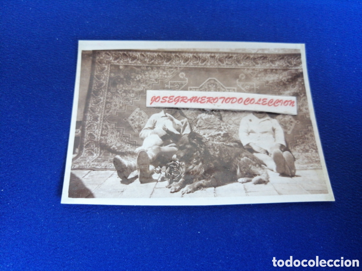 Antique Photography: NI&Ntilde;OS MODELOS POSANDO CON PERRO FOTOGRAF&Iacute;A ANTIGUA SIGLO PASADO