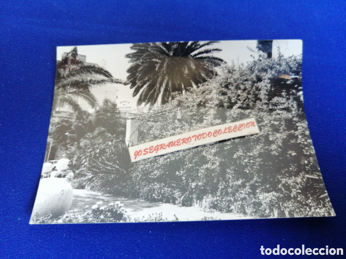 Antique Photography: LAS PALMAS DE GRAN CANARIA PLAZA DE SANTA CATALINA - CARTEL BANCO DE VIZCAYA FOTOGRAF&Iacute;A ANTIGUA