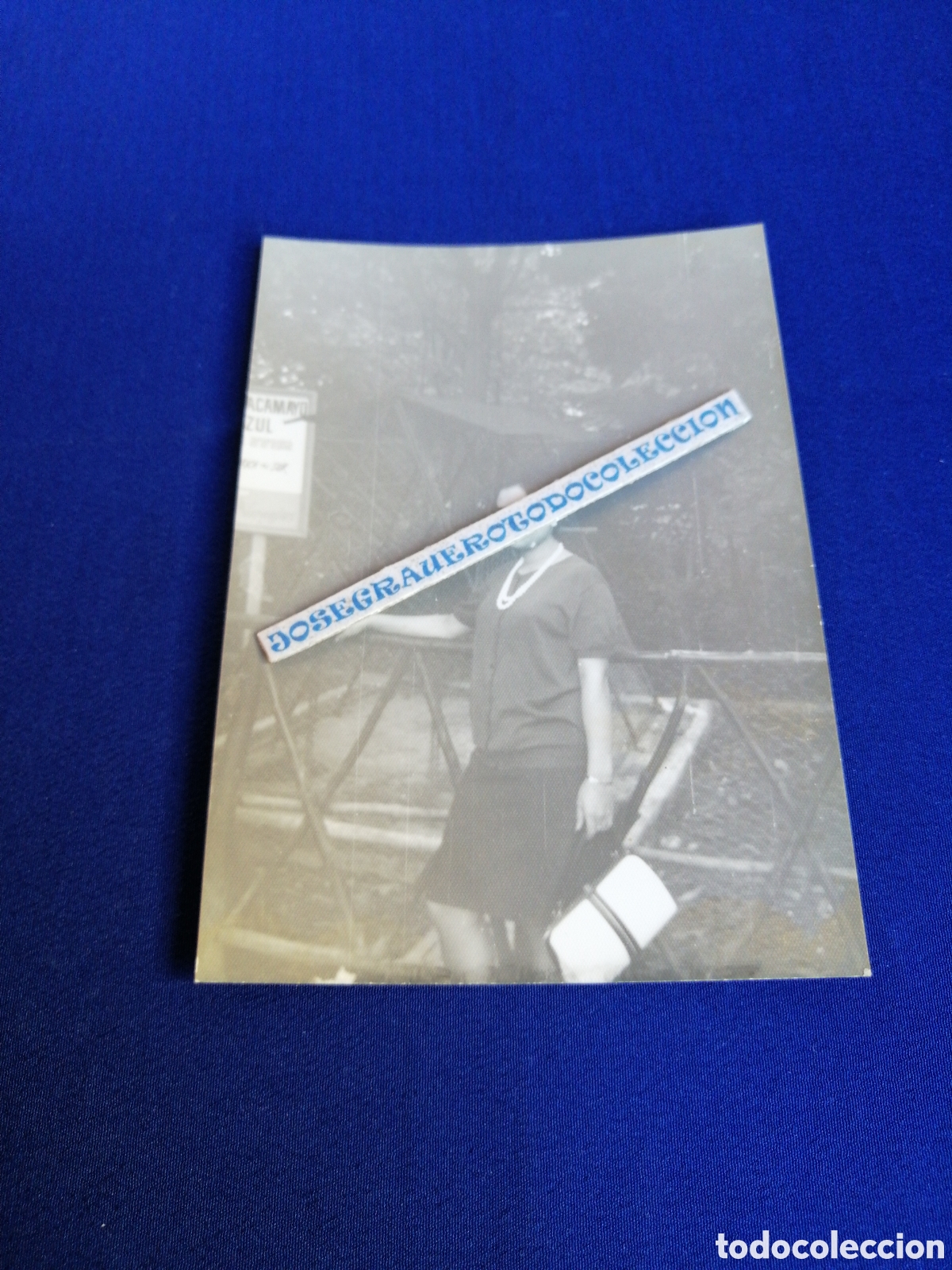 Fotografia antiga: ZOOL&Oacute;GICO - ZOO DE VALENCIA GUACAMAYO AZUL MODELO POSANDO FOTOGRAF&Iacute;A ANTIGUA SIGLO PASADO