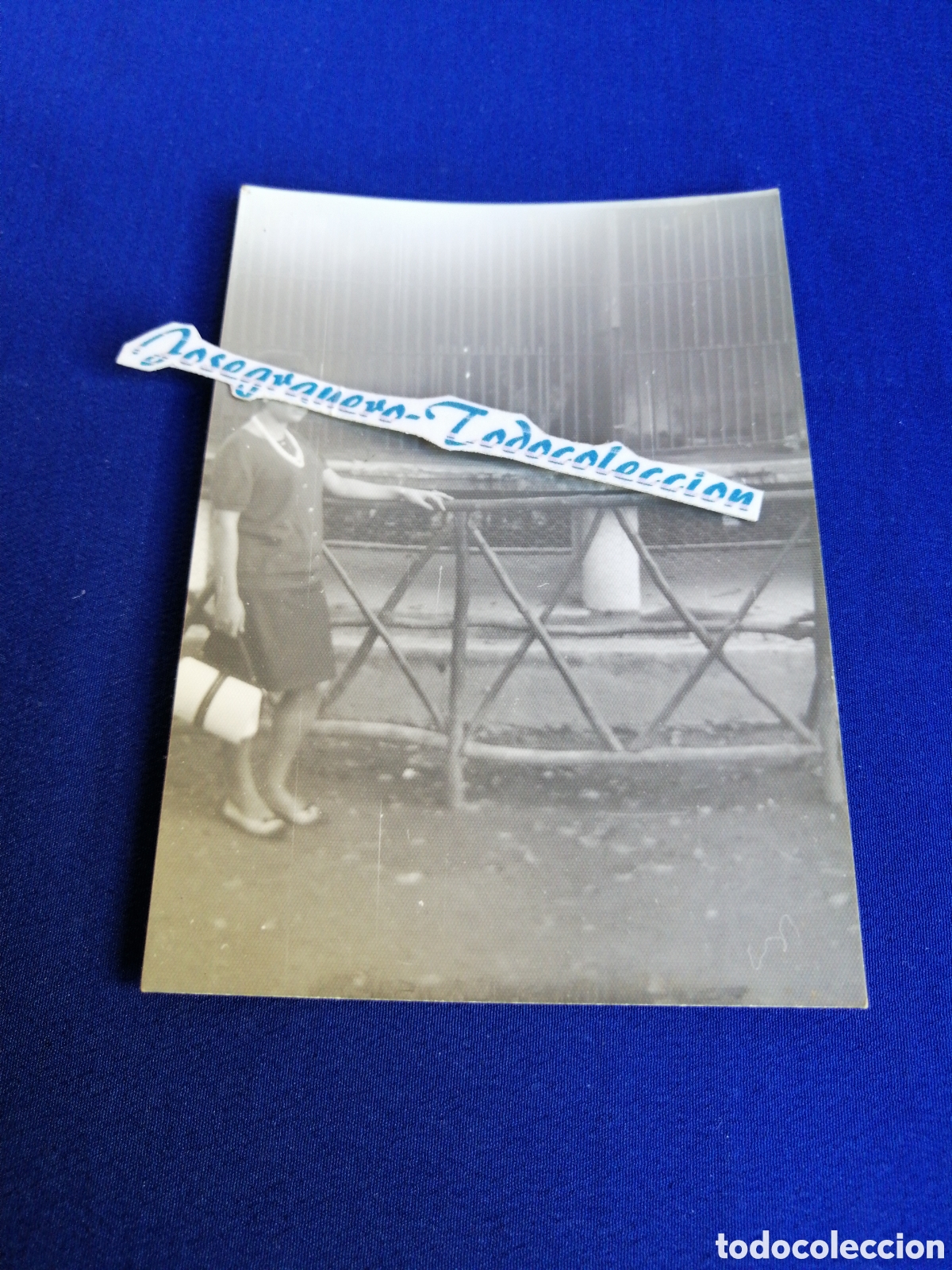 Antique Photography: ZOOL&Oacute;GICO - ZOO - VALENCIA MODELO POSANDO FOTOGRAF&Iacute;A ANTIGUA SIGLO PASADO