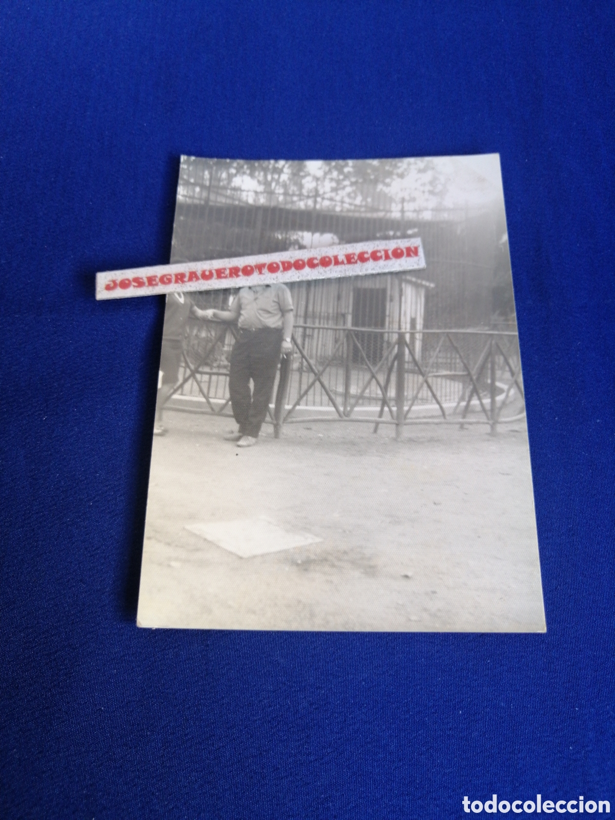 Antique Photography: ZOOL&Oacute;GICO - ZOO-(VALENCIA) MODELOS POSANDO FOTOGRAF&Iacute;A ANTIGUA SIGLO PASADO