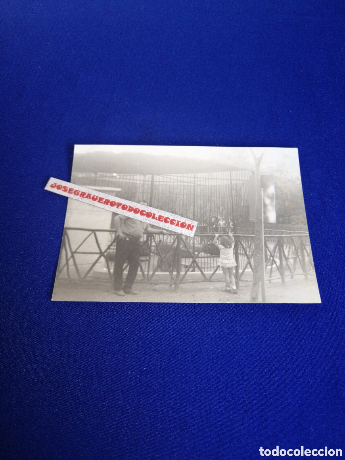 Antique Photography: ZOOL&Oacute;GICO - ZOO-(VALENCIA) MODELOS POSANDO FOTOGRAF&Iacute;A ANTIGUA SIGLO PASADO