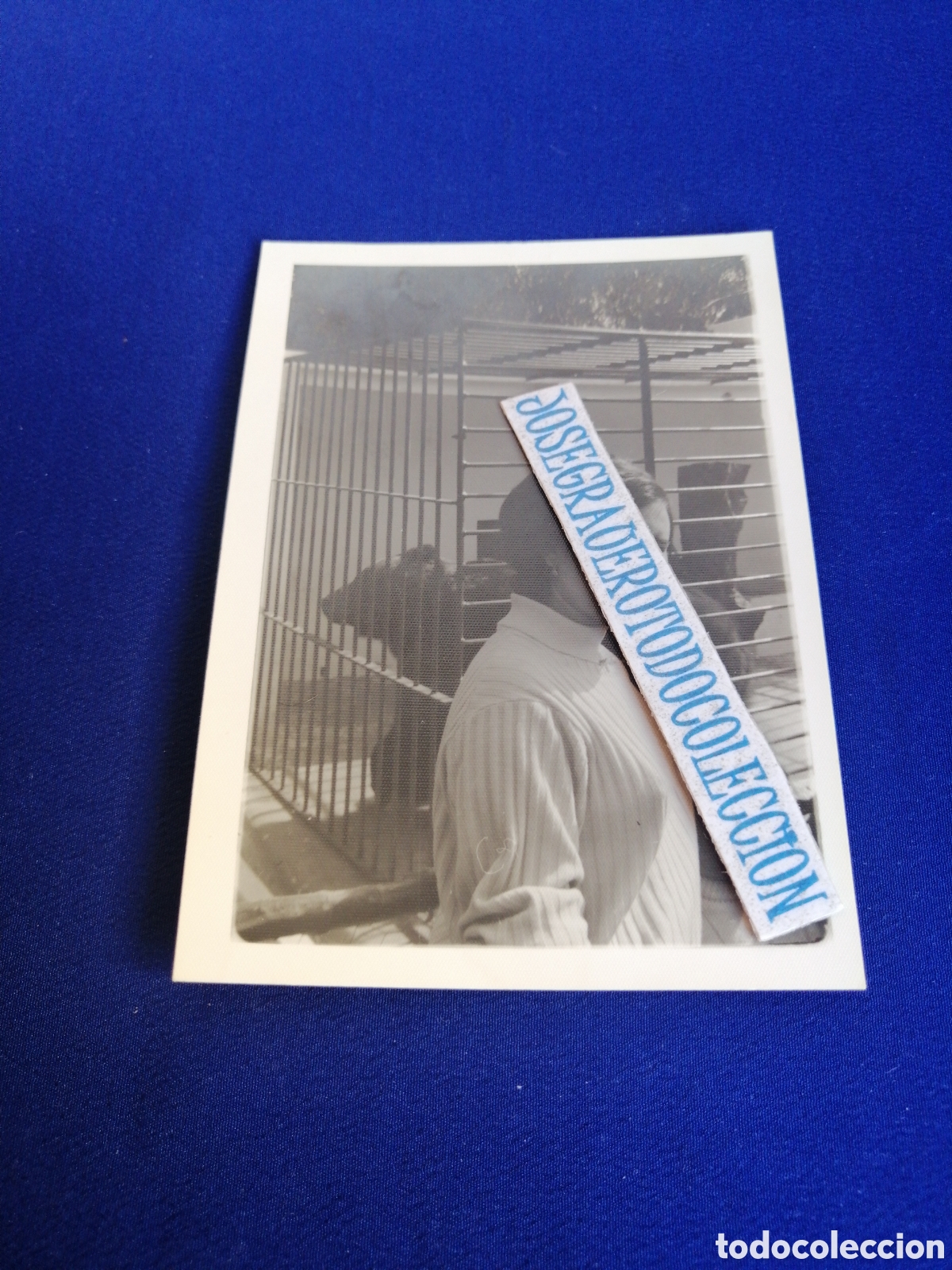 Antique Photography: ZOOL&Oacute;GICO - ZOO-VALENCIA FOTOGRAF&Iacute;A ANTIGUA SIGLO PASADO