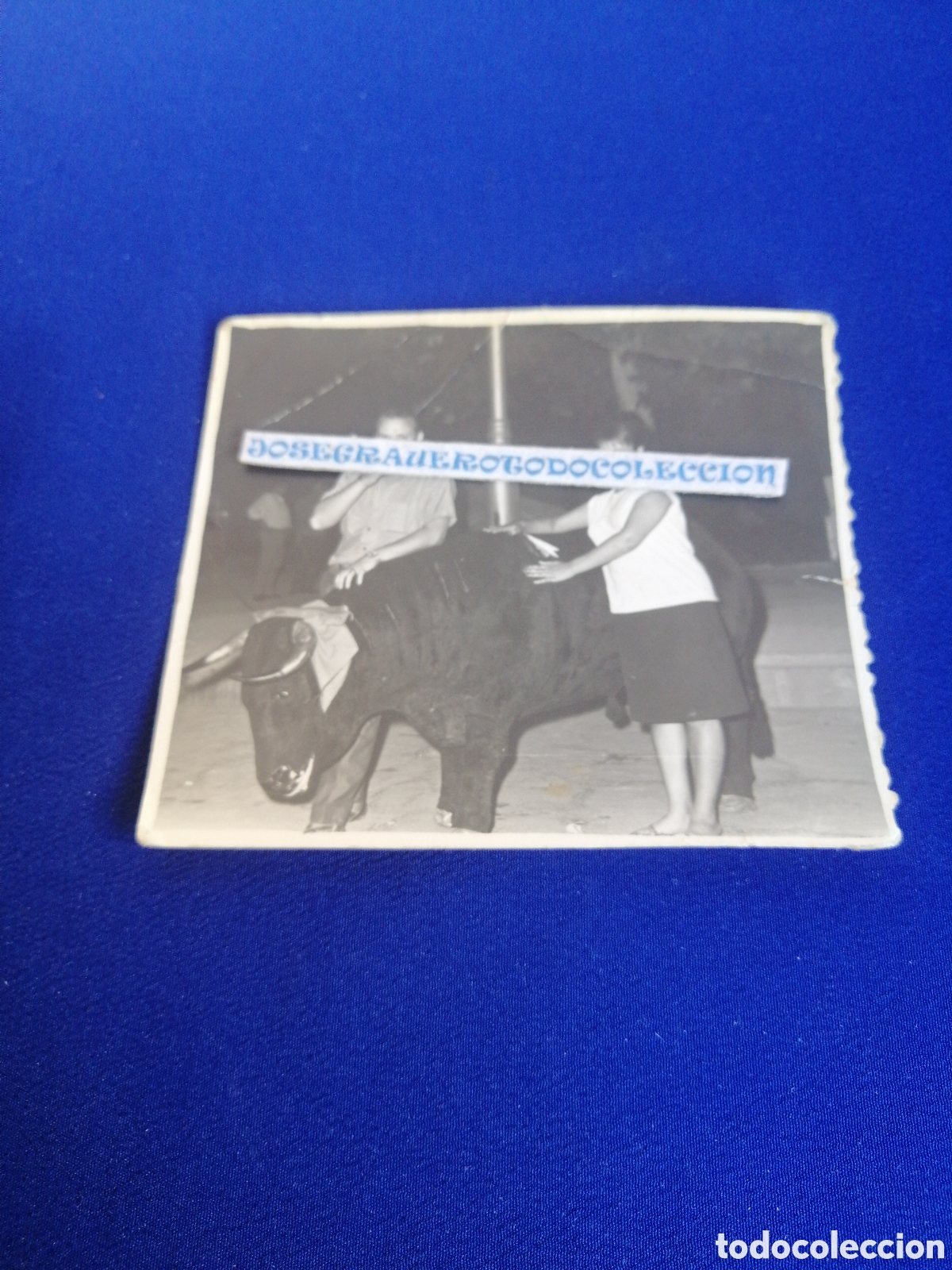 Antique Photography: MODELOS POSANDO CON TORO DE EXPOSICI&Oacute;N FOTOGRAF&Iacute;A ANTIGUA SIGLO PASADO