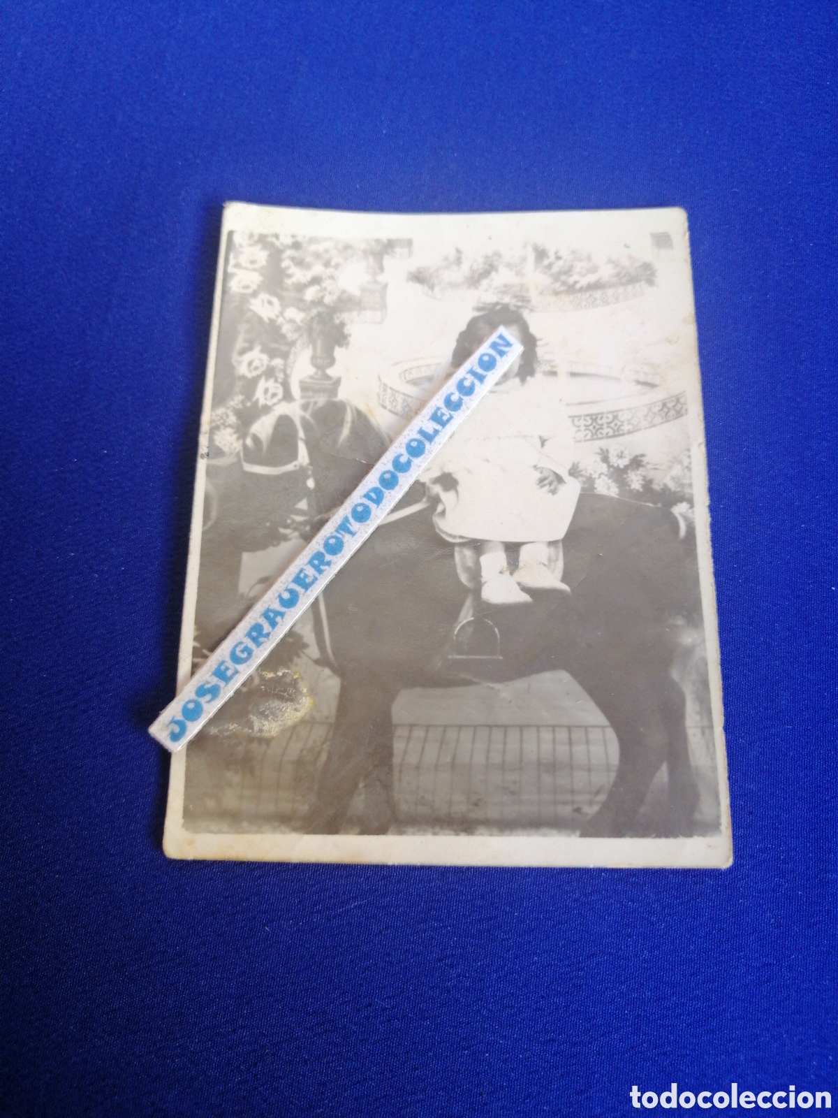 Antique Photography: NI&Ntilde;A MODELO CON CABALLITO FOTOMATON FOTOGRAF&Iacute;A ANTIGUA SIGLO PASADO