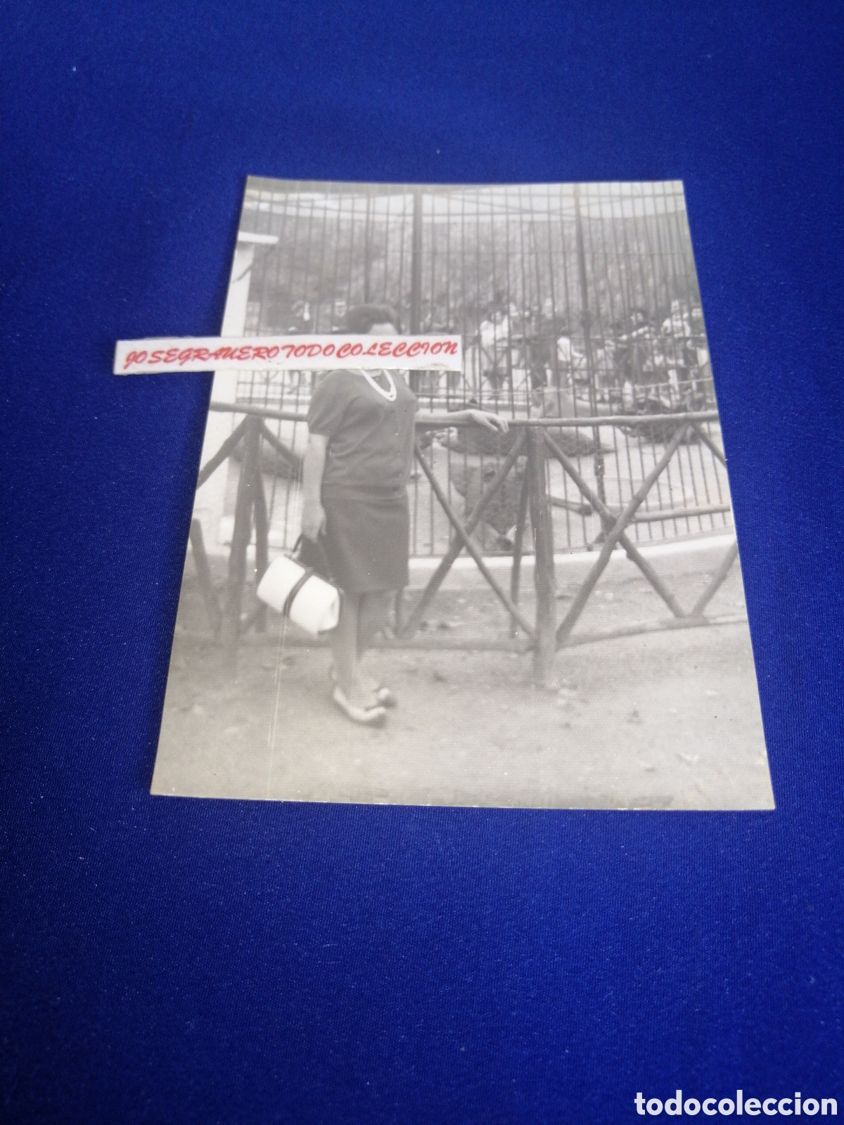 Fotograf&iacute;a antigua: ZOOL&Oacute;GICO - ZOO - VALENCIA MODELO POSANDO FOTOGRAF&Iacute;A ANTIGUA SIGLO PASADO