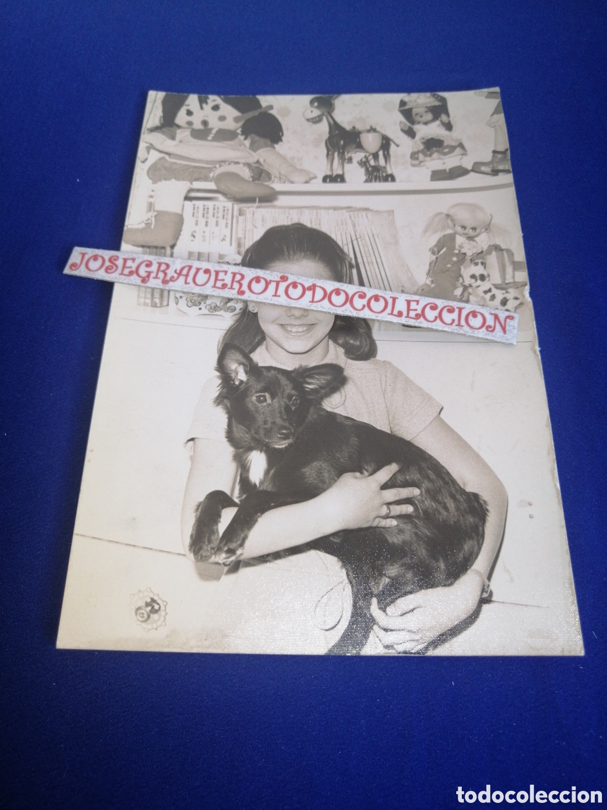 Antique Photography: NI&Ntilde;A MODELO CON PERRITO - MU&Ntilde;ECAS - JUGUETES FOTOGRAF&Iacute;A ANTIGUA SIGLO PASADO