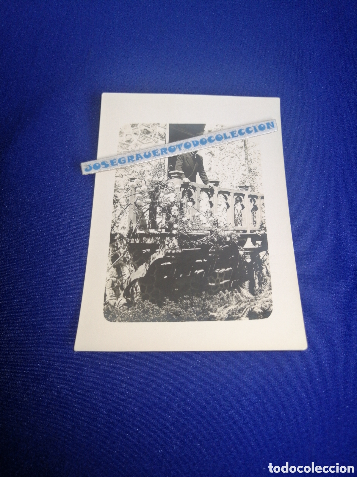 Antique Photography: MODELO EN BALC&Oacute;N FOTOGRAF&Iacute;A ANTIGUA SIGLO PASADO