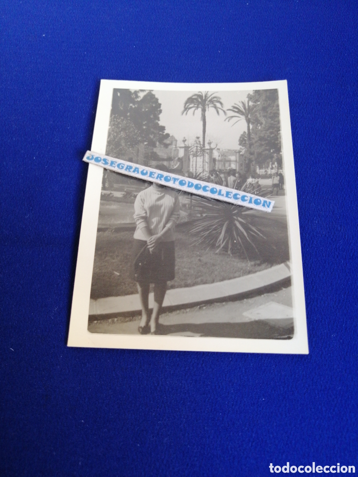 Fotograf&iacute;a antigua: VALENCIA JARDINES DE VIVEROS MODELO POSANDO FOTOGRAF&Iacute;A ANTIGUA SIGLO PASADO