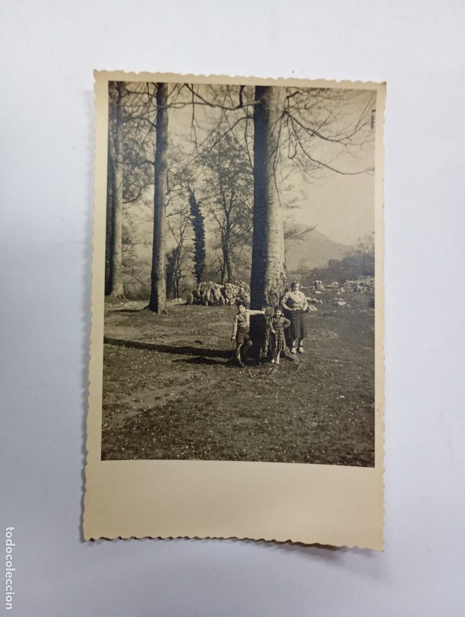 Fotografia antica: ANTIGUA FOTOGRAF&Iacute;A FAMILIA JUNTO A &Aacute;RBOL. TDKP27L