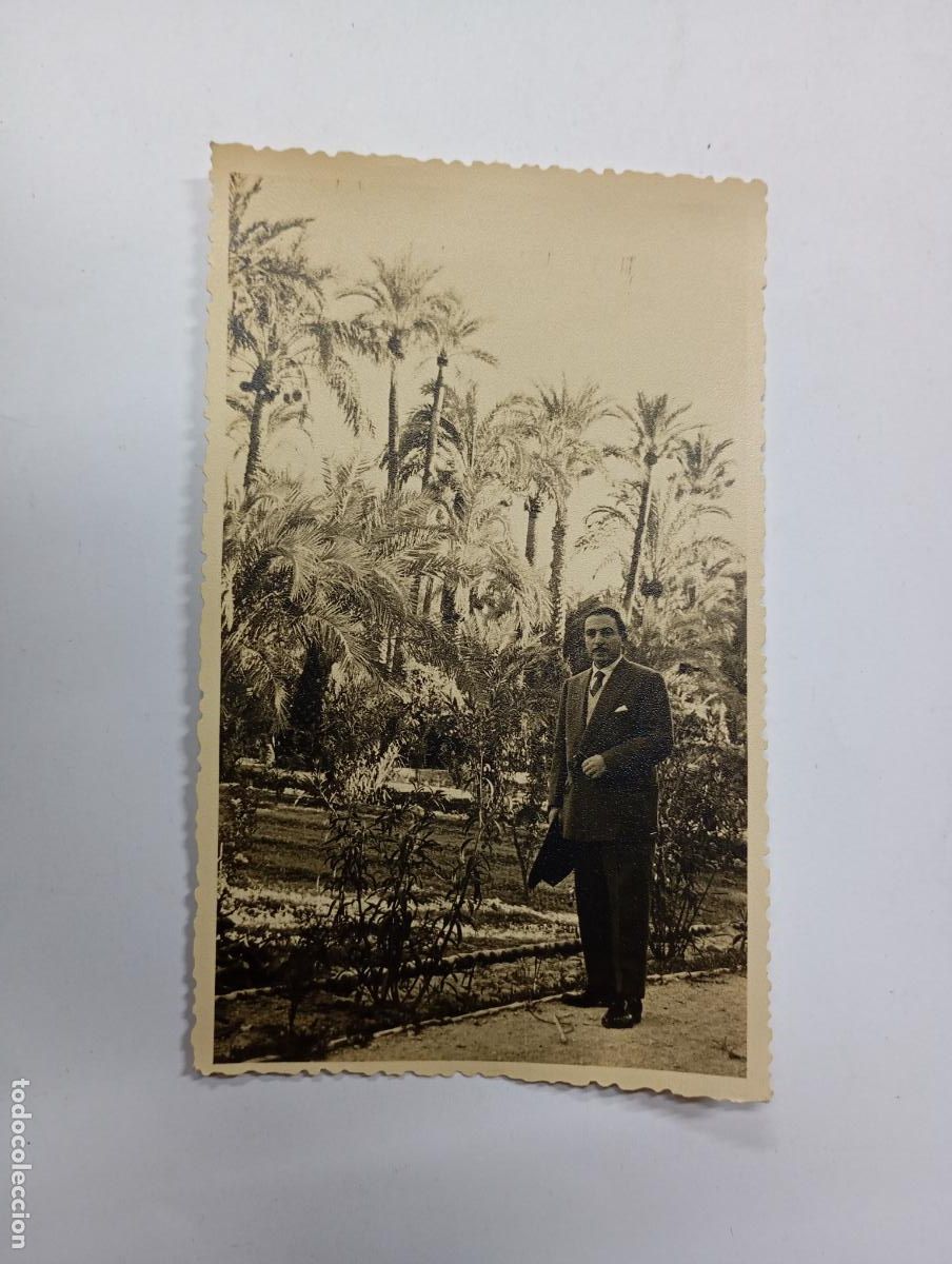 Fotografia antica: ANTIGUA FOTOGRAF&Iacute;A PARQUE MUNICIPAL DE ELCHE. 1954. TDKP27L