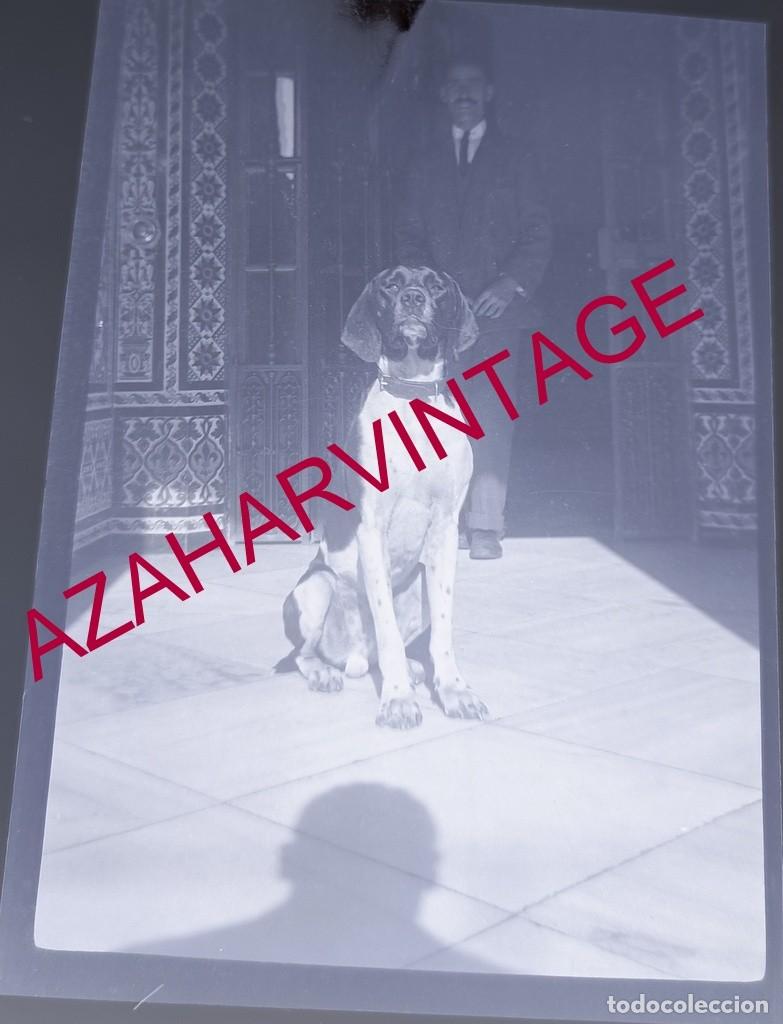 Fotograf&iacute;a antigua: ANTIGUO CELULOIDE POSITIVO, SIGLO XIX, LOTE PROCEDENTE DE MALAGA