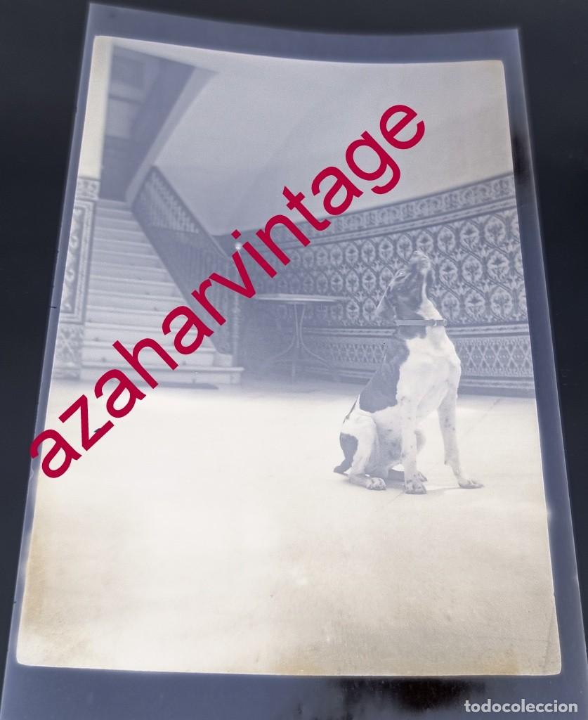 Fotografia antiga: ANTIGUO CELULOIDE POSITIVA, SIGLO XIX, LOTE PROCEDENTE DE MALAGA