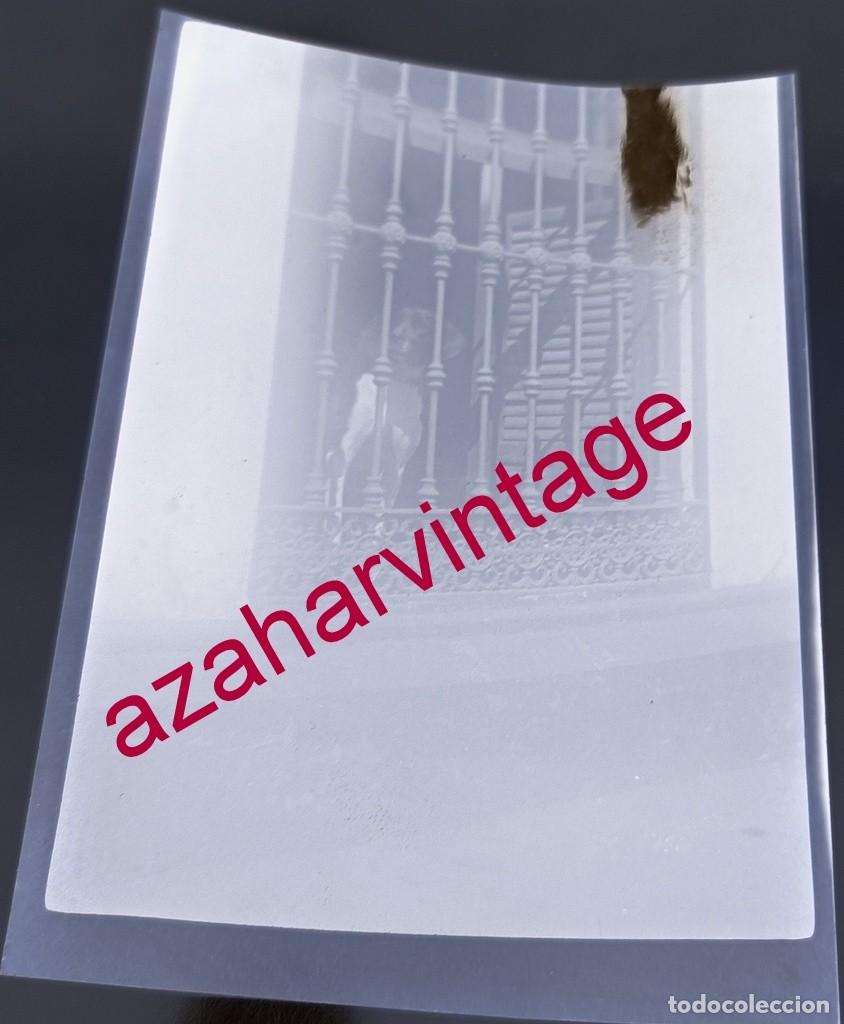 Fotografia antiga: ANTIGUO CELULOIDE POSITIVO, SIGLO XIX, LOTE PROCEDENTE DE MALAGA