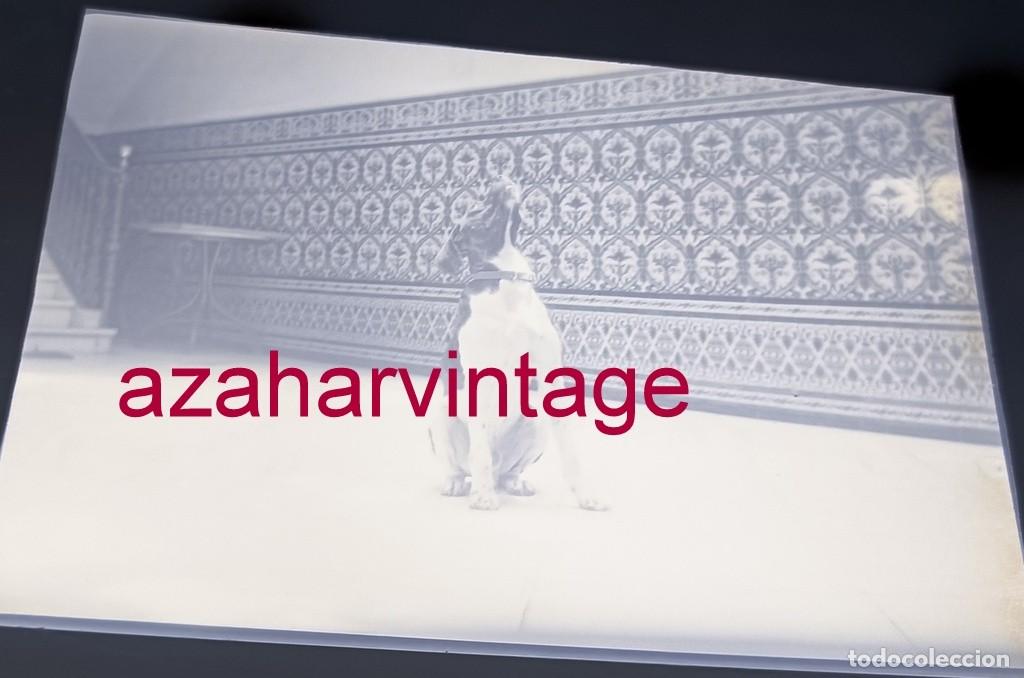 Fotografia antiga: ANTIGUO CELULOIDE POSITIVO, SIGLO XIX, LOTE PROCEDENTE DE MALAGA