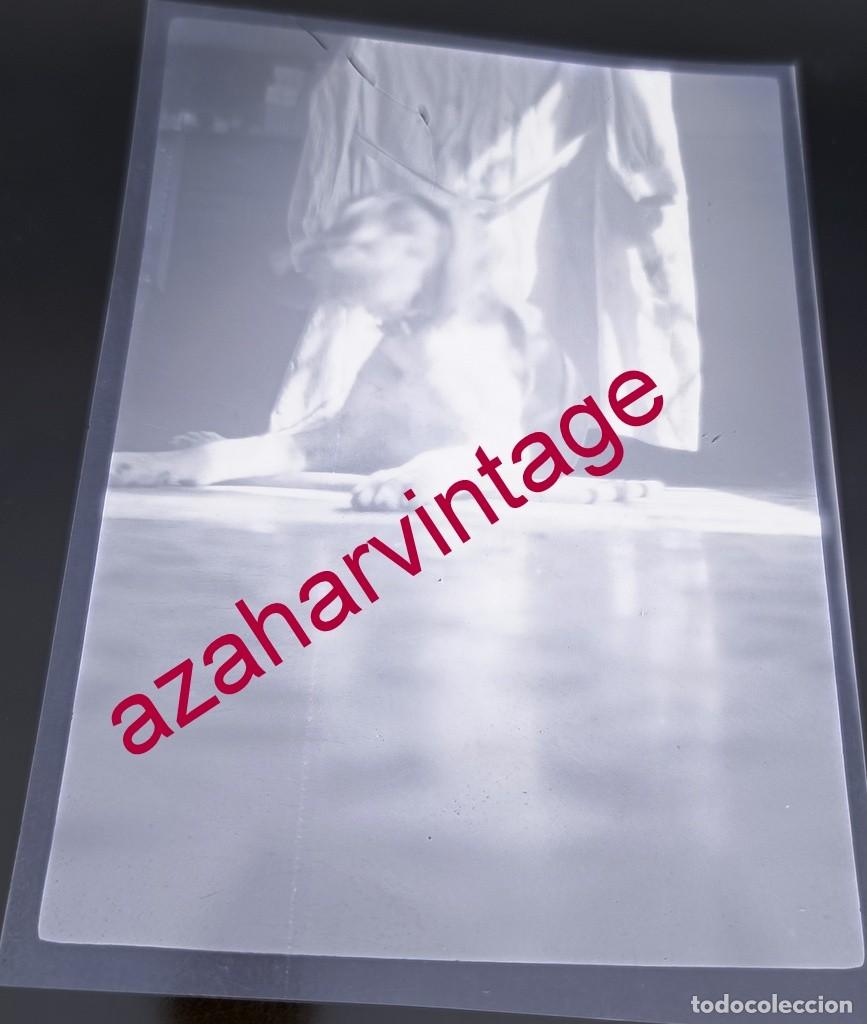 Fotografia antiga: ANTIGUO CELULOIDE POSITIVO, SIGLO XIX, LOTE PROCEDENTE DE MALAGA