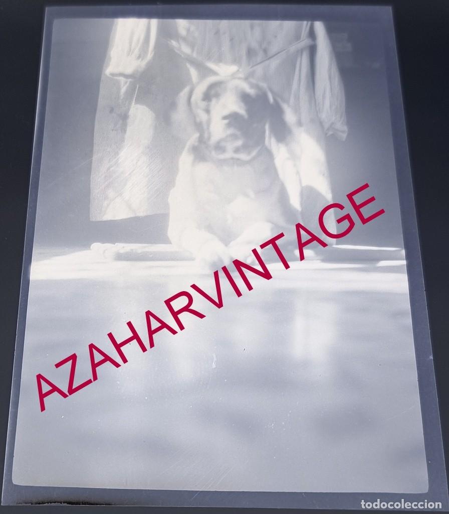 Fotografia antiga: ANTIGUO CELULOIDE POSITIVO, SIGLO XIX, LOTE PROCEDENTE DE MALAGA