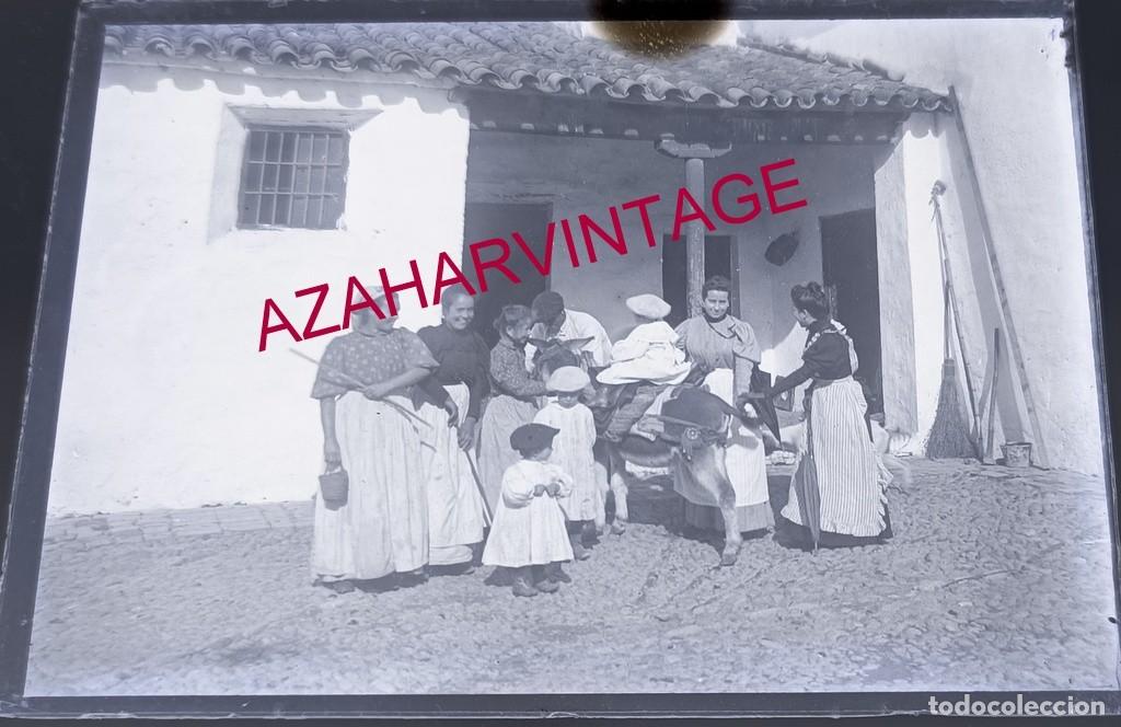 Fotografia antiga: ANTIGUO CRISTAL POSITIVO, SIGLO XIX, LOTE PROCEDENTE DE MALAGA
