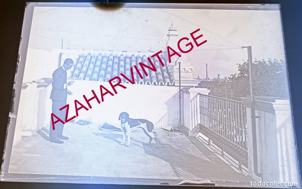 Fotografia antiga: ANTIGUO CRISTAL POSITIVO, SIGLO XIX, LOTE PROCEDENTE DE MALAGA