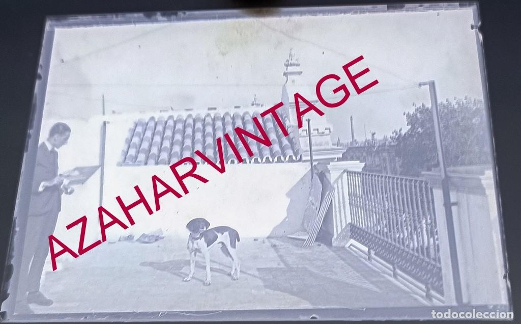 Fotografia antiga: ANTIGUO CRISTAL POSITIVO, SIGLO XIX, LOTE PROCEDENTE DE MALAGA