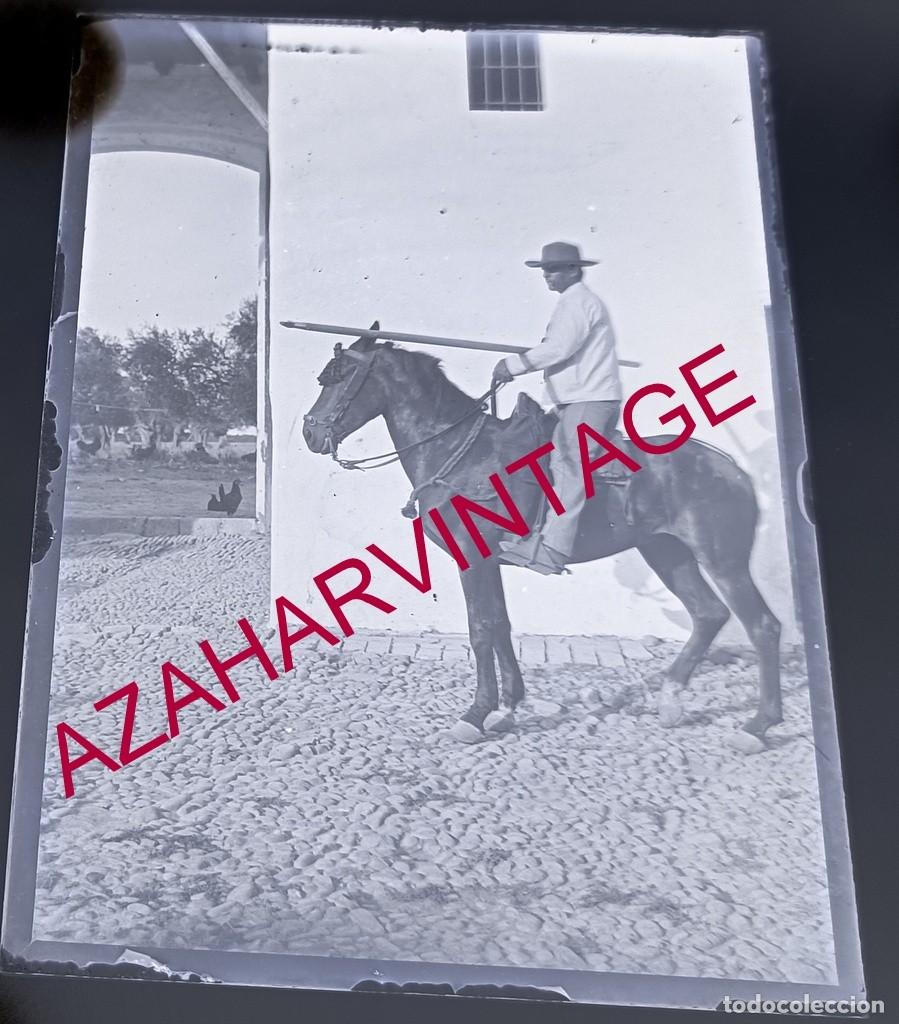 Fotografia antiga: ANTIGUO CRISTAL POSITIVO, SIGLO XIX, LOTE PROCEDENTE DE MALAGA