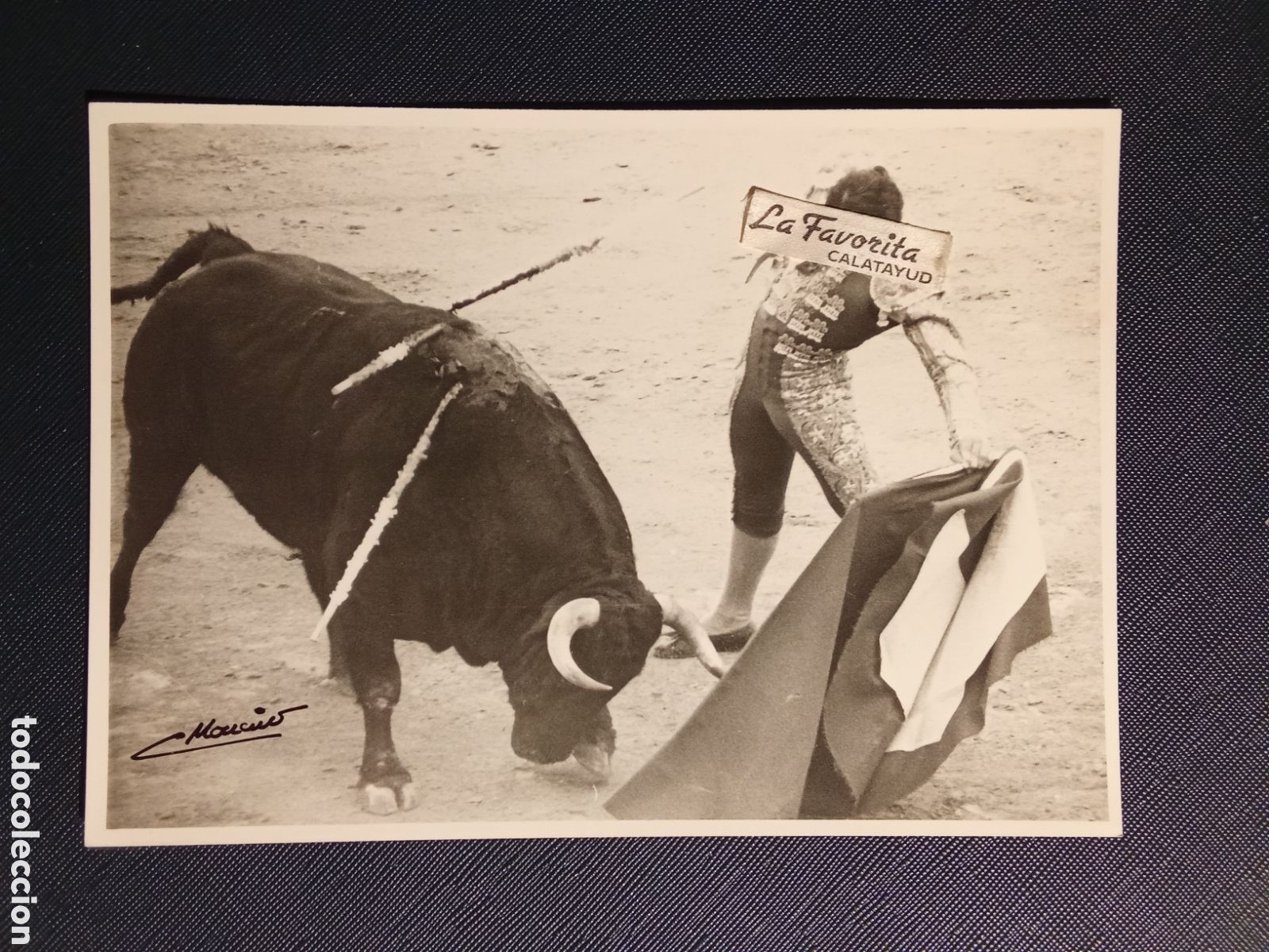 Fotograf&iacute;a antigua: CALATAYUD Fotografia taurina CARLOS MONCIN Fotografo , original N&ordm; 1