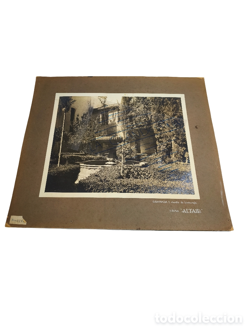 Fotografia antica: FOTOGRAF&Iacute;A HIST&Oacute;RICA DE GRAN FORMATO - &rdquo;GRANADA: JARD&Iacute;N DE LINDARAJA&rdquo; - LEMA &rdquo;ALTAIR&rdquo; - N&ordm; 0197 - FI
