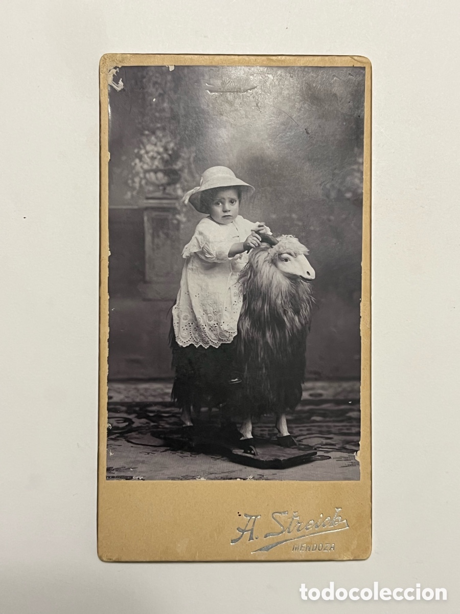 Antique Photography: MENDOZA, Argentina. A,Streich, fot&oacute;grafo NI&Ntilde;A MONTADA EN UNA LLAMA.. (fin Siglo XIX)