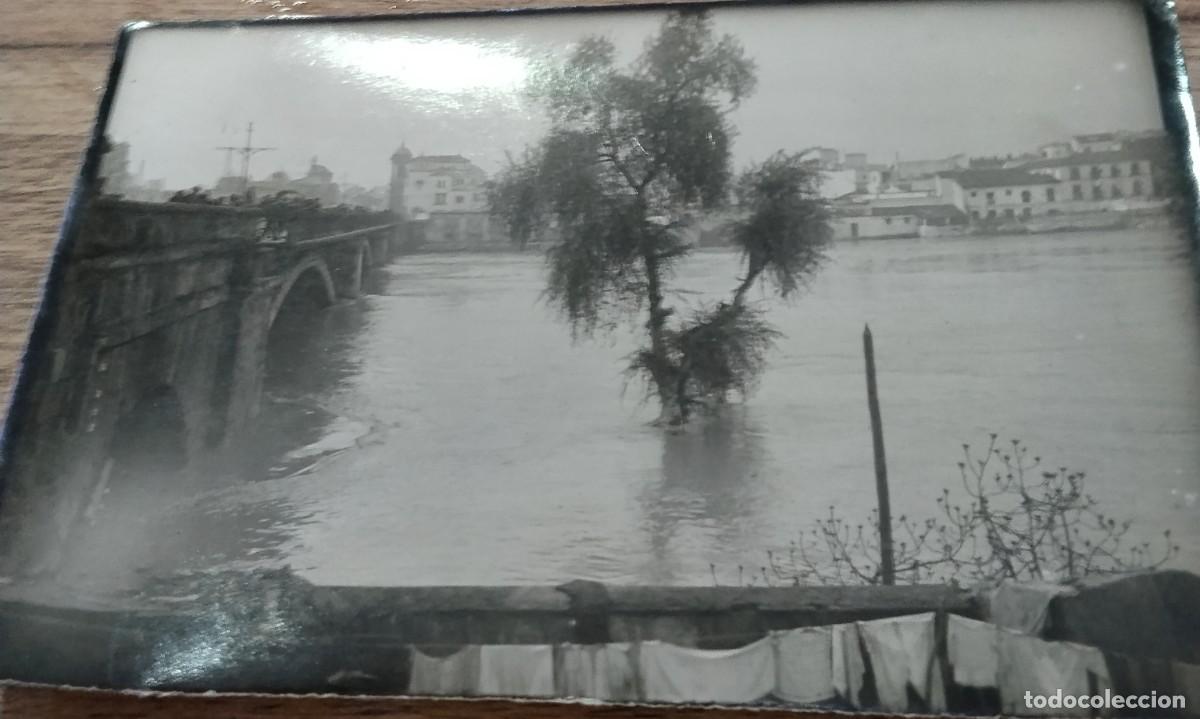 Fotograf&iacute;a antigua: SEVILLA, SIGLO XIX, VISTA DEL RIO GUADALQUIVIR