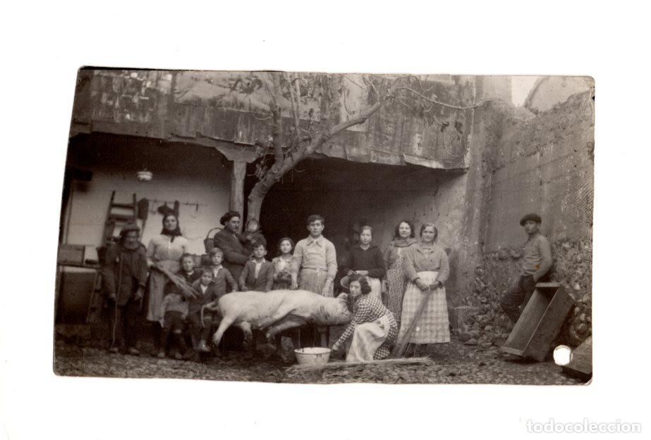 Fotograf&iacute;a antigua: ESCENA TRADICIONAL DE LA MATANZA DEL CERDO EN EL &Aacute;MBITO RURAL ESPA&Ntilde;OL. 13X7,5.